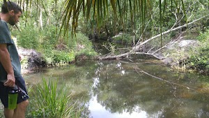 Spring Hammock Preserve - photo 76