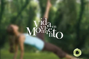 Mundo Pilates image