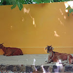 Photo n° 4 de l'avis de Benoît.A fait le 03/06/2019 à 13:54 pour Parc de Wesserling - Écomusée Textile à Husseren-Wesserling