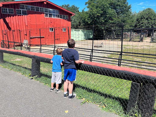 Zoo «Lupa Zoo», reviews and photos, 62 Nash Hill Rd, Ludlow, MA 01056, USA