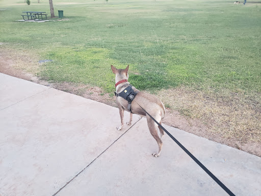 Park «Conocido Park», reviews and photos, 15645 N 31st Dr, Phoenix, AZ 85053, USA