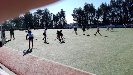 Mar del Plata Club- Rugby -Hockey