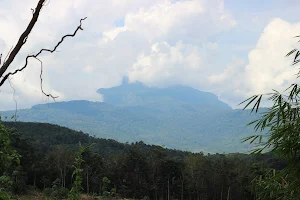 Bukit Saran image