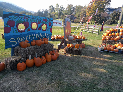 Gift Shop «Beech Spring Gift Shop», reviews and photos, 11600 Lee Hwy, Sperryville, VA 22740, USA