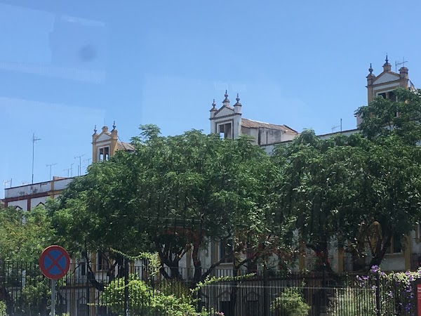 Imagen de Tour por Sevilla y Triana (16 de 20)