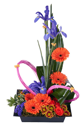 Florist «Gulfport Florist», reviews and photos, 1410 58th St S, Gulfport, FL 33707, USA