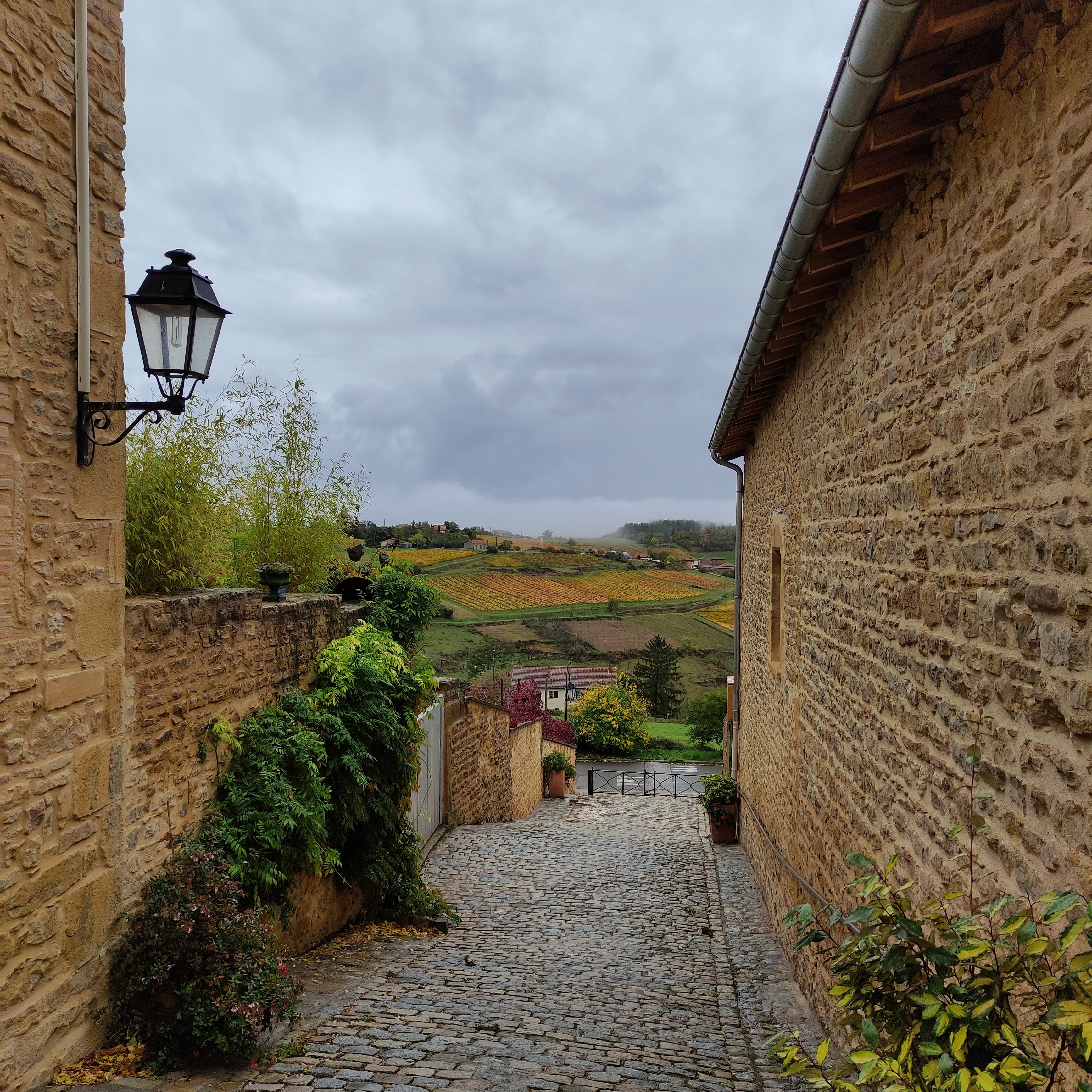 Photo n° 21 de l'avis de Anthony.a fait le 01/11/2021 à 16:22