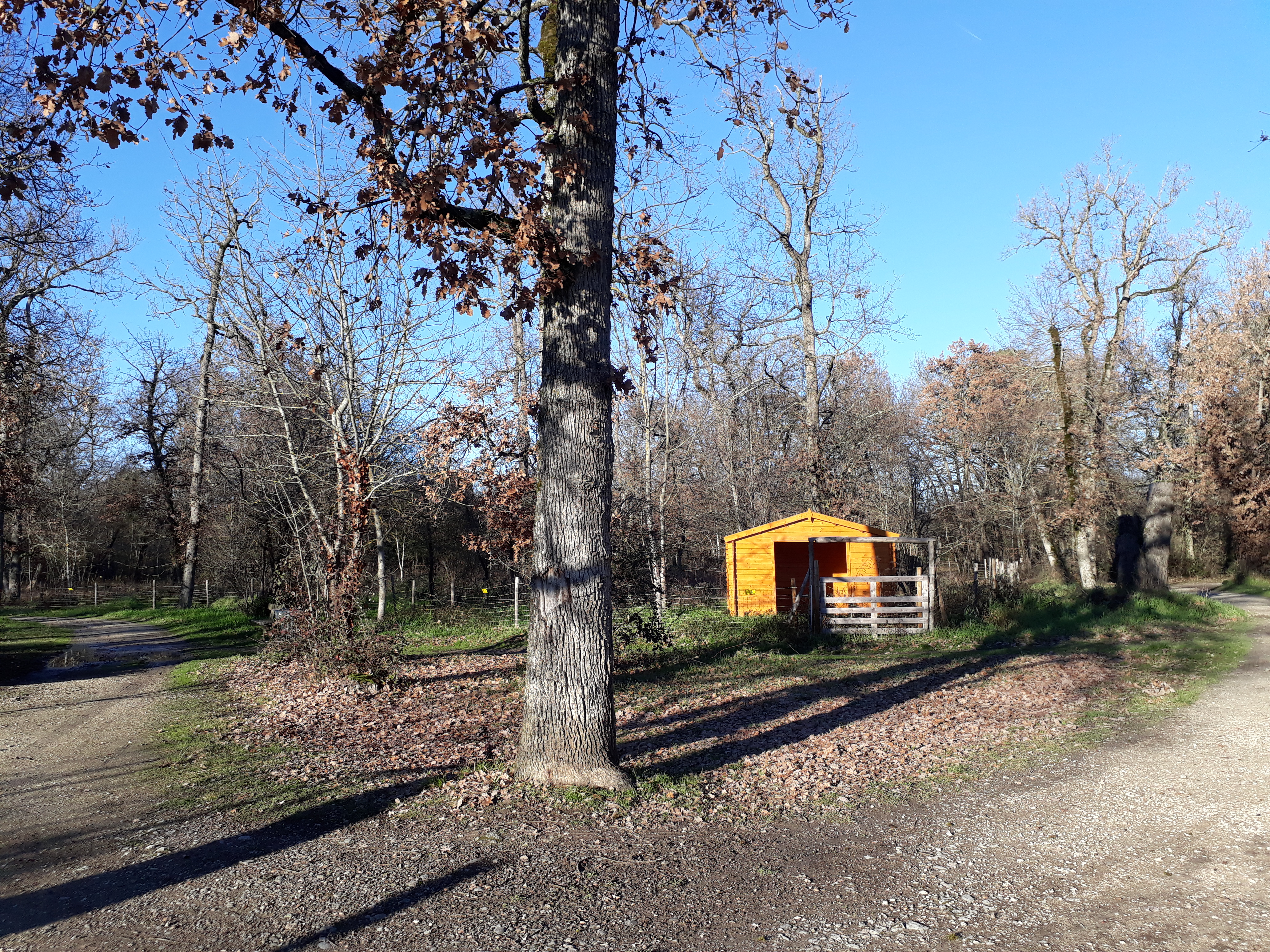 Photo n° 6 de l'avis de Émilie. fait le 16/01/2022 à 12:22