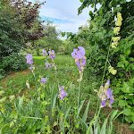 Photo n°2 de l'avis de Michaela.. fait le 21/05/2022 à 20:26 sur le  Wirtshaus zum Herboldshof à Bad Rappenau