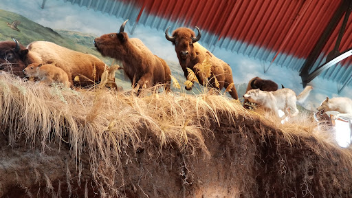 Sporting Goods Store «Bass Pro Shops», reviews and photos, 1000 Bass Pro Dr NW, Altoona, IA 50009, USA