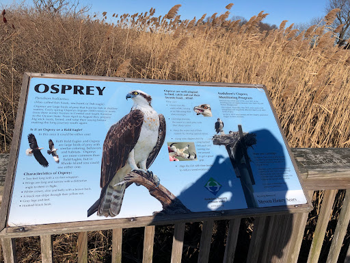 Educational Institution «The Audubon Society of Rhode Island Environmental Education Center», reviews and photos, 1401 Hope St, Bristol, RI 02809, USA
