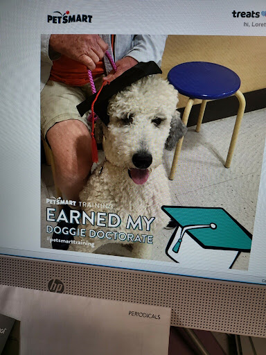 Fast Food Restaurant «Chick-fil-A», reviews and photos, 1205 E Stone Dr, Kingsport, TN 37660, USA