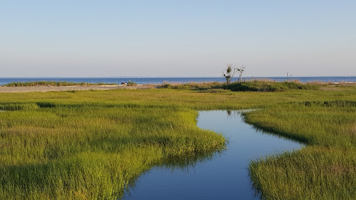 State Park «Silver Sands State Park», reviews and photos, 1 Silver Sands Park Way, Milford, CT 06460, USA
