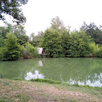 Photo n°2 de l'avis de Luoca.o fait le 09/08/2023 à 08:40 sur le  Canada Stella Sul Fiume à Bedonia