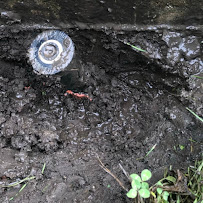 McKinney Sprinkler Repair - Photo 5 - Car repair in , McKinney