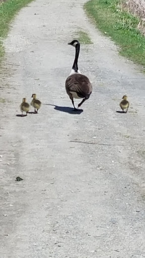 Monument «Minute Man Statue», reviews and photos, Monument St, Concord, MA 01742, USA