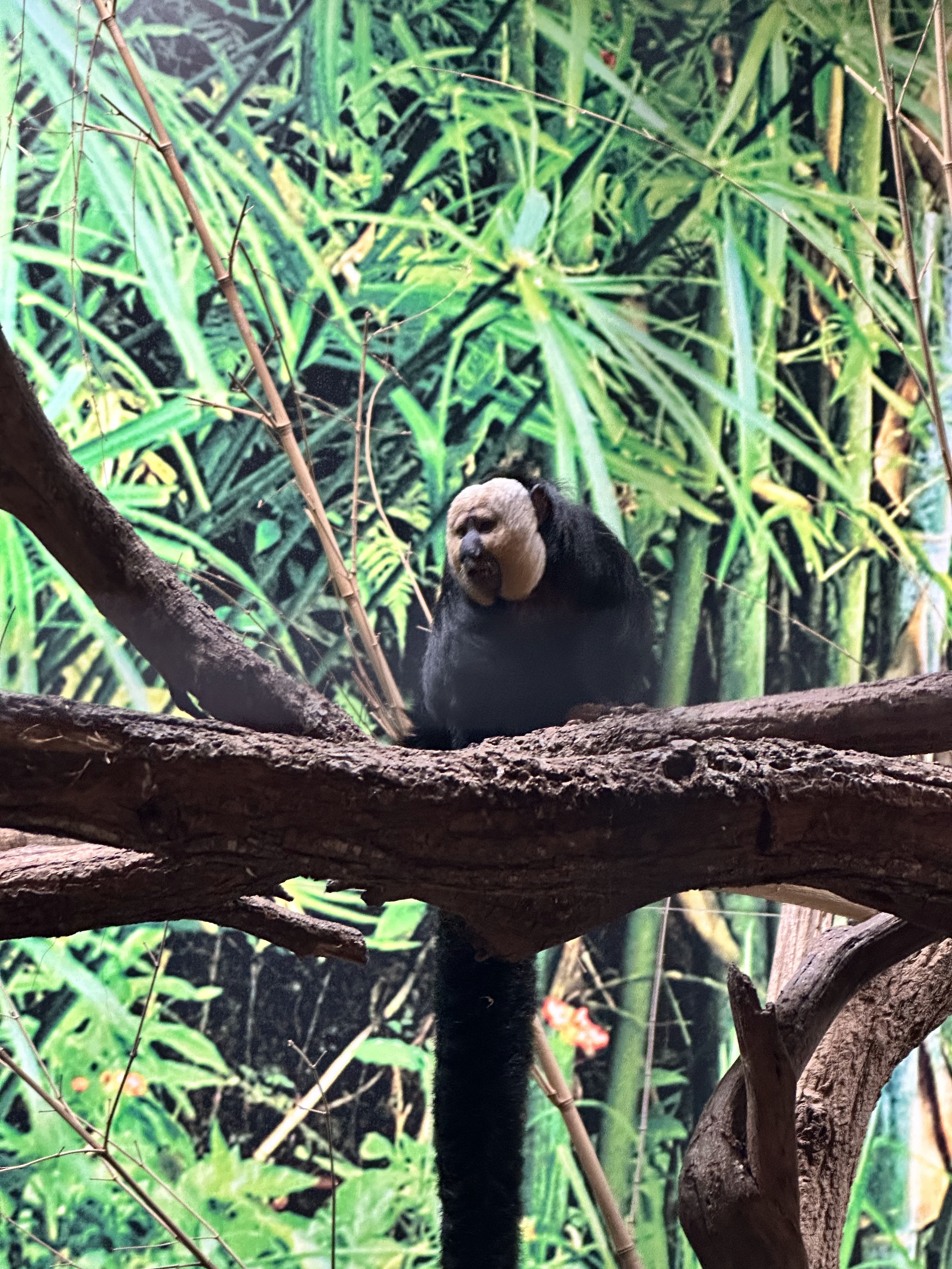 Photo n° 1 de l'avis de Tiffany.n fait le 25/09/2023 à 08:10