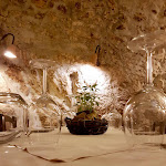 Photo n°1 de l'avis de ALFIERI.e fait le 14/01/2017 à 23:00 sur le  Monticelli Sapere e Sapori à Campobasso