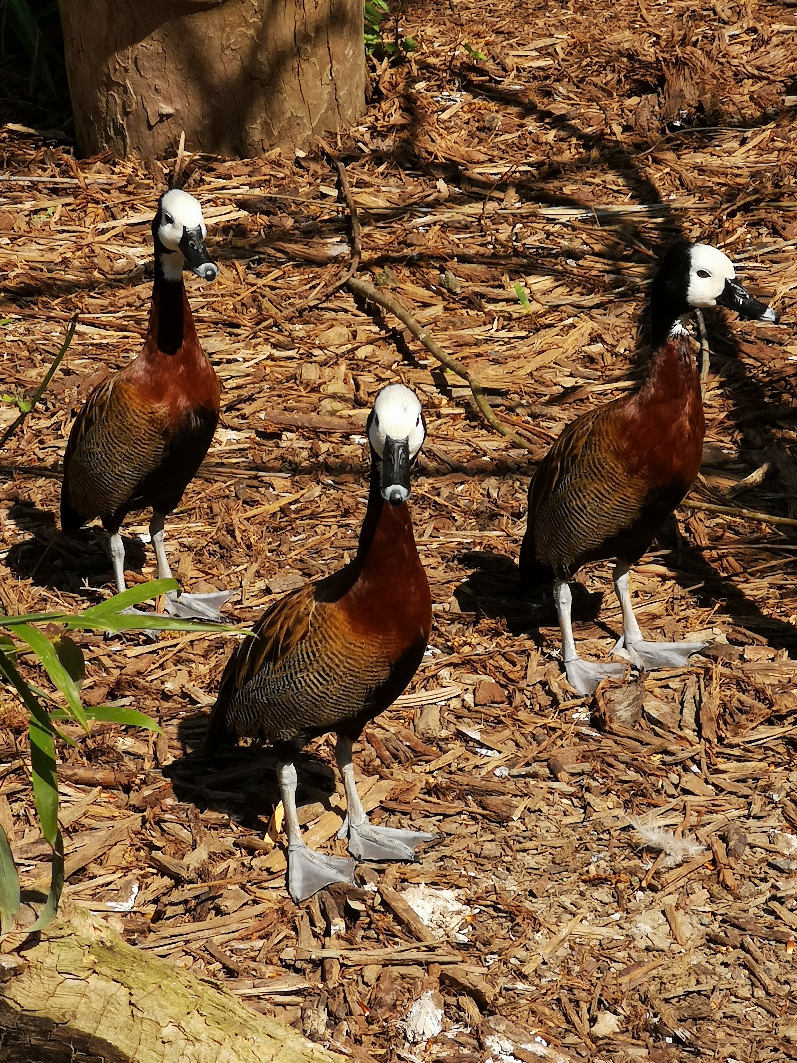 Photo n° 35 de l'avis de Bryan.r fait le 24/04/2018 à 19:19