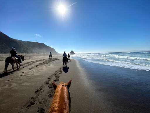 Stable «Ross Ranch», reviews and photos, 28300 Philo Greenwood Rd, Elk, CA 95432, USA
