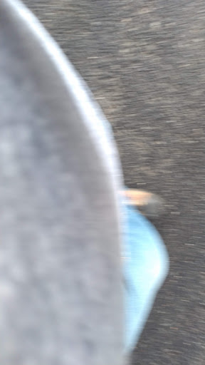 Mercedes Benz Dealer «Mercedes-Benz of Southampton», reviews and photos, 575 County Rd 39, Southampton, NY 11968, USA