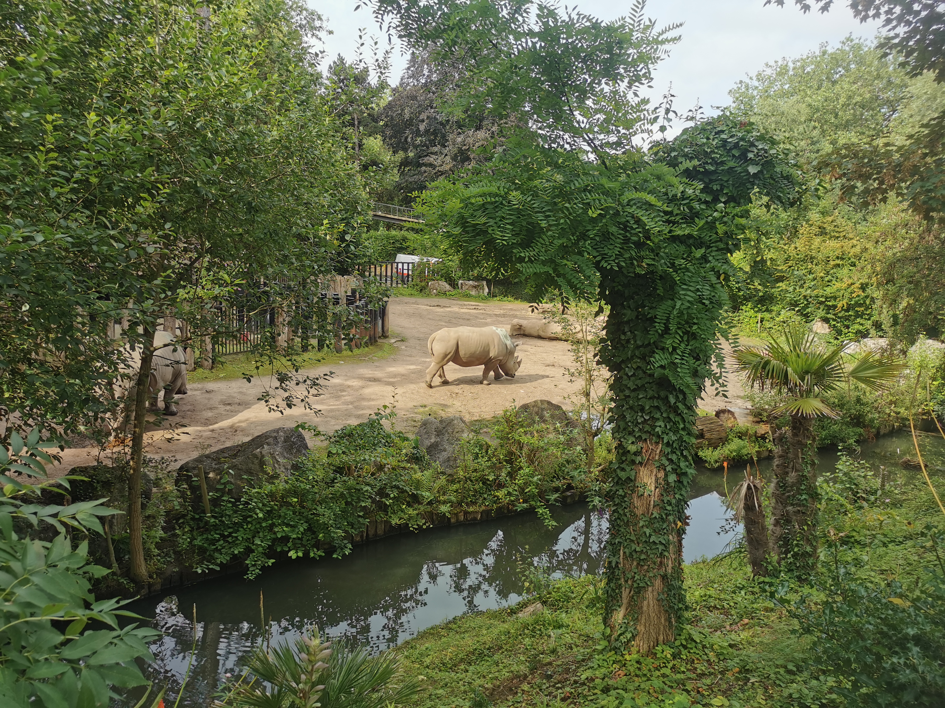 Photo n° 5 de l'avis de Marie.A fait le 11/08/2021 à 10:15