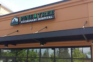 Pine Tree Veterinary Hospital image