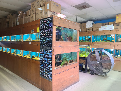 Pet Supply Store «Tropical World Pets», reviews and photos, 8444 Watson Rd, Webster Groves, MO 63119, USA