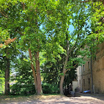 Photo n°1 de l'avis de Lucky.u fait le 09/07/2023 à 09:37 sur le  Brauhaus Meisenheim à Meisenheim