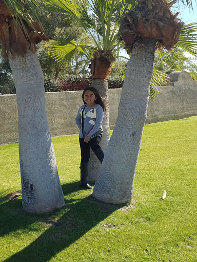 Hardware Store «Harbor Freight Tools», reviews and photos, 31833 Date Palm Dr, Cathedral City, CA 92234, USA