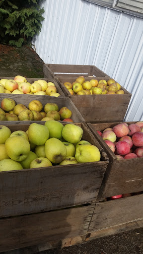 Produce Market «B&P Hitz Fruit Farm (Apples N Produce)», reviews and photos, 14070 Wilco Hwy NE, Woodburn, OR 97071, USA