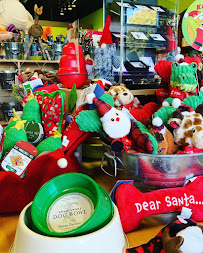 The Tailgait Market - Photo 6 - Car repair in Asheville, NC, Asheville