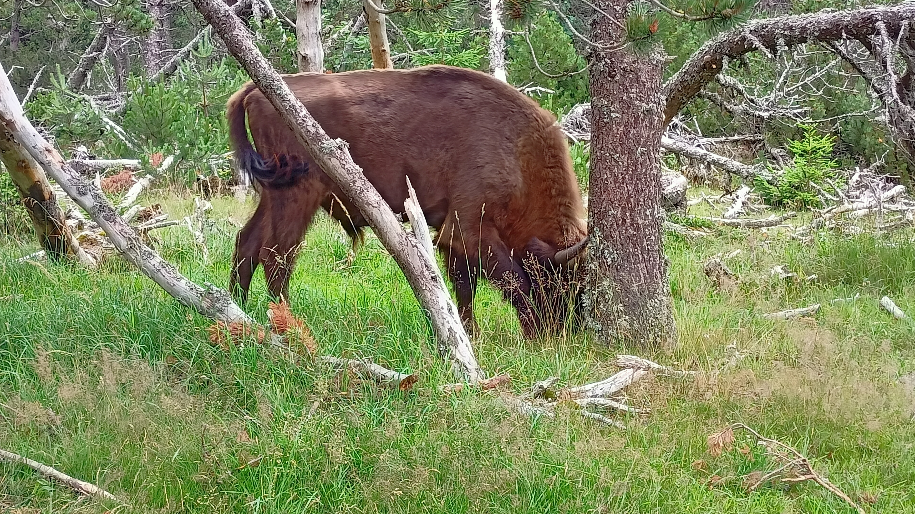 Photo n° 1 de l'avis de Karim.- fait le 02/08/2021 à 13:02