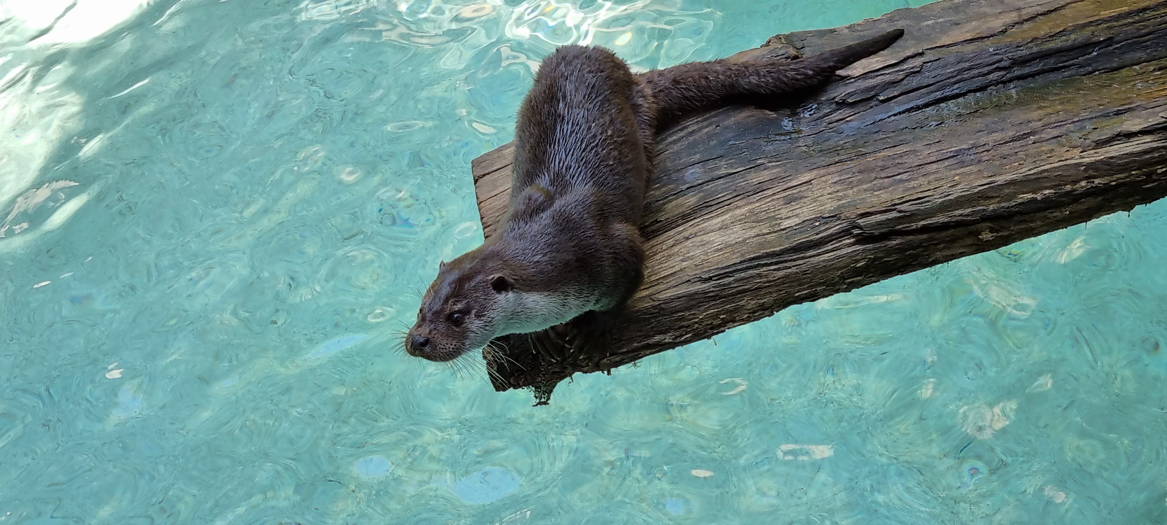 Photo n° 6 de l'avis de Steve.A fait le 27/08/2021 à 11:27