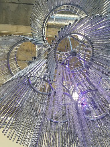 Bicycle Store «Pedal Chic», reviews and photos, 651 S Main St, Greenville, SC 29601, USA