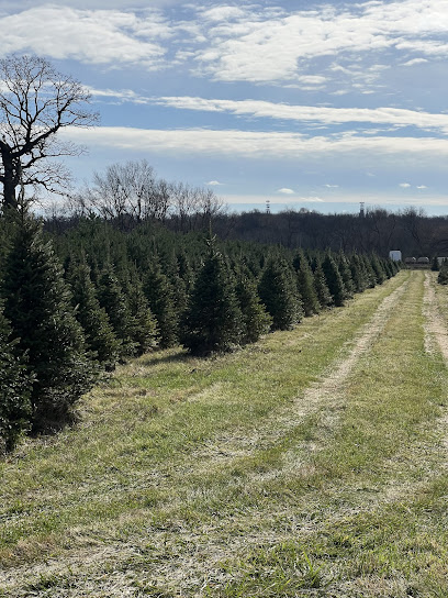 Green Acres Christmas Tree Farm
