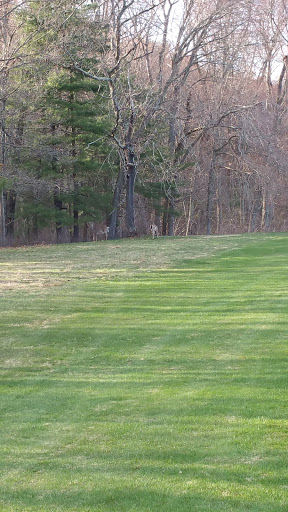 Golf Club «Manchester Country Club», reviews and photos, 305 S Main St, Manchester, CT 06040, USA