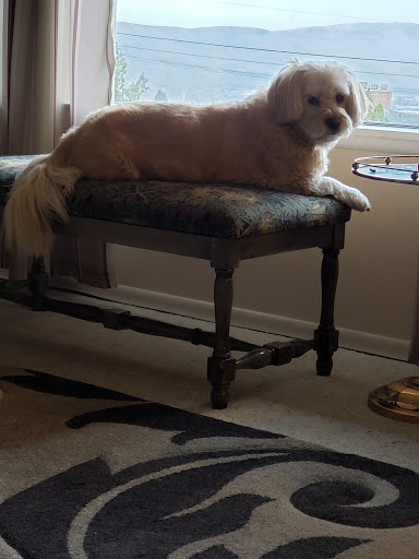 Pet Store «Pet Pantry Yakima», reviews and photos, 5701 Summitview Ave, Yakima, WA 98908, USA