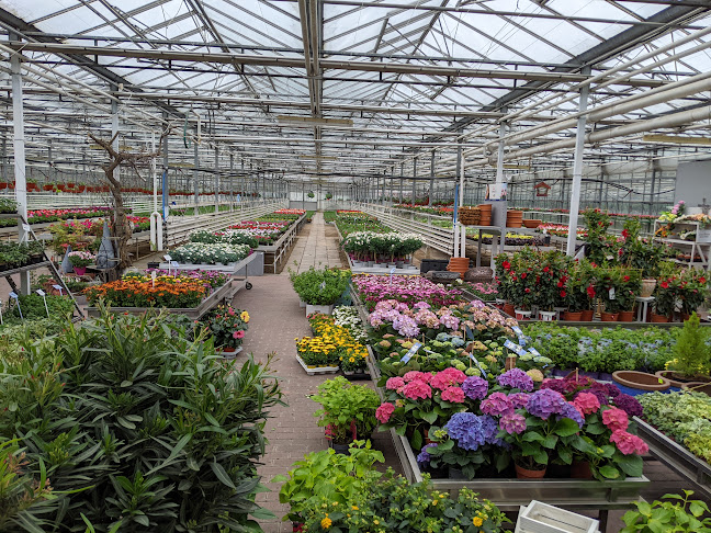 Opinii despre Centrum Ogrodnicze Wilkanowo Beata Nowicka-Cofalska în Zielona Góra - Ogrodnik
