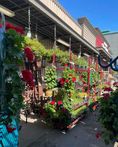 Home Improvement Store «Junction True Value Hardware», reviews and photos, 4747 44th Ave SW, Seattle, WA 98116, USA