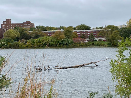 Park «RiverEdge Park», reviews and photos, 360 N Broadway, Aurora, IL 60505, USA