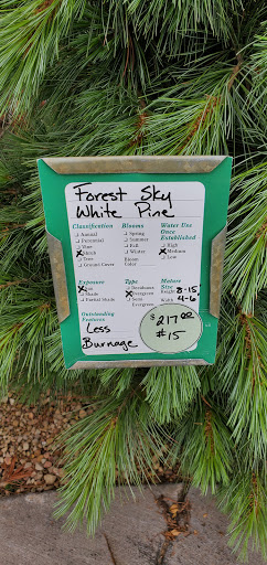 Garden Center «Lilydale Garden Center», reviews and photos, 941 Sibley Memorial Hwy, St Paul, MN 55118, USA