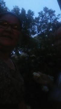 Brookside Sod & Landscape - Photo 6 - Car repair in Brandon, FL, Brandon