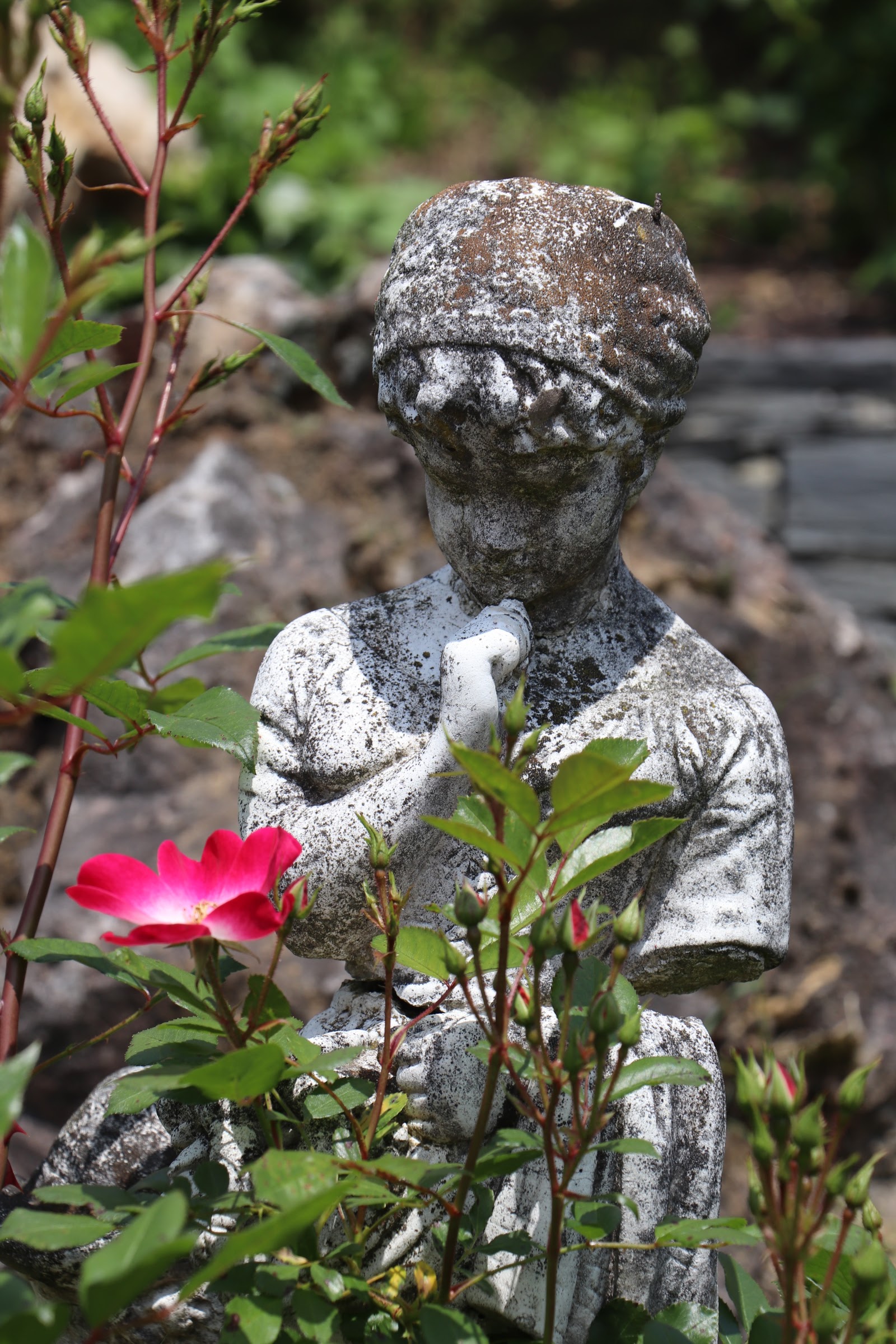 Photo n° 1 de l'avis de Maryse.u fait le 20/05/2018 à 16:11