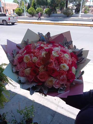 Floreria fresnillo – Fresnillo
