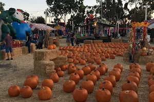 Pumpkin Station image