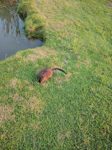 Golf Club «Bent Tree Golf Club», reviews and photos, 350 Bent Tree Rd, Sunbury, OH 43074, USA