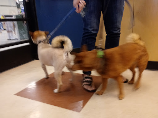 Pet Supply Store «PetSmart», reviews and photos, 10625 N Oracle Rd, Oro Valley, AZ 85737, USA