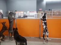 Bark Public House - Car repair in Nashville, TN, Nashville - Rated 4.6/5