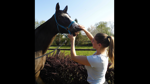 Tierphysiotherapie | Tierosteopathie Vanessa Lüers